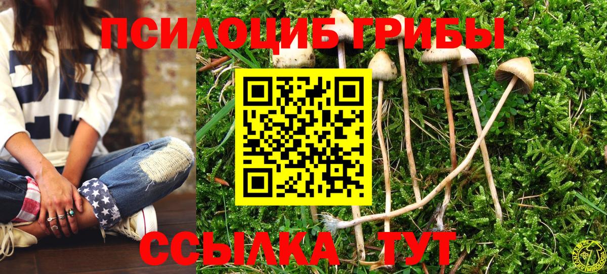 Железноводск  как найти наркотики  Вход с VPN  Галлюциногенные грибы мухоморы 